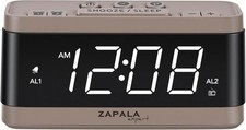 FM Alarm Clock Radio Dual