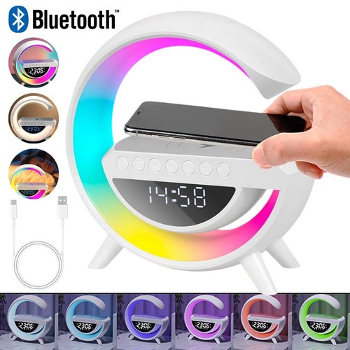 Multifunction speaker alarm - speaker,